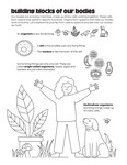Building Blocks of our Body by Your Very Favorite and Children's Health