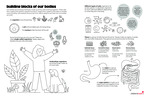 Building Blocks of our Body by Your Very Favorite and Children's Health