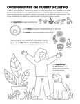 Building Blocks of our Body (Spanish) by Your Very Favorite and Children's Health