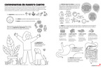 Building Blocks of our Body (Spanish) by Your Very Favorite and Children's Health