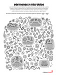 Germs and Microbes (Spanish) by Your Very Favorite and Children's Health