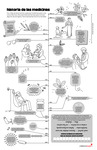 Medicines Timeline (Spanish) by Your Very Favorite and Children's Health