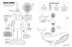 Vitals (Spanish) by Your Very Favorite and Children's Health