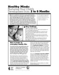 Nurturing Development: 2 to 6 Months