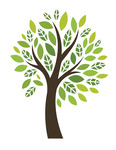 Caring for children in child welfare systems: A trauma-informed model of integrated primary care