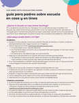 Online Learning (Spanish)